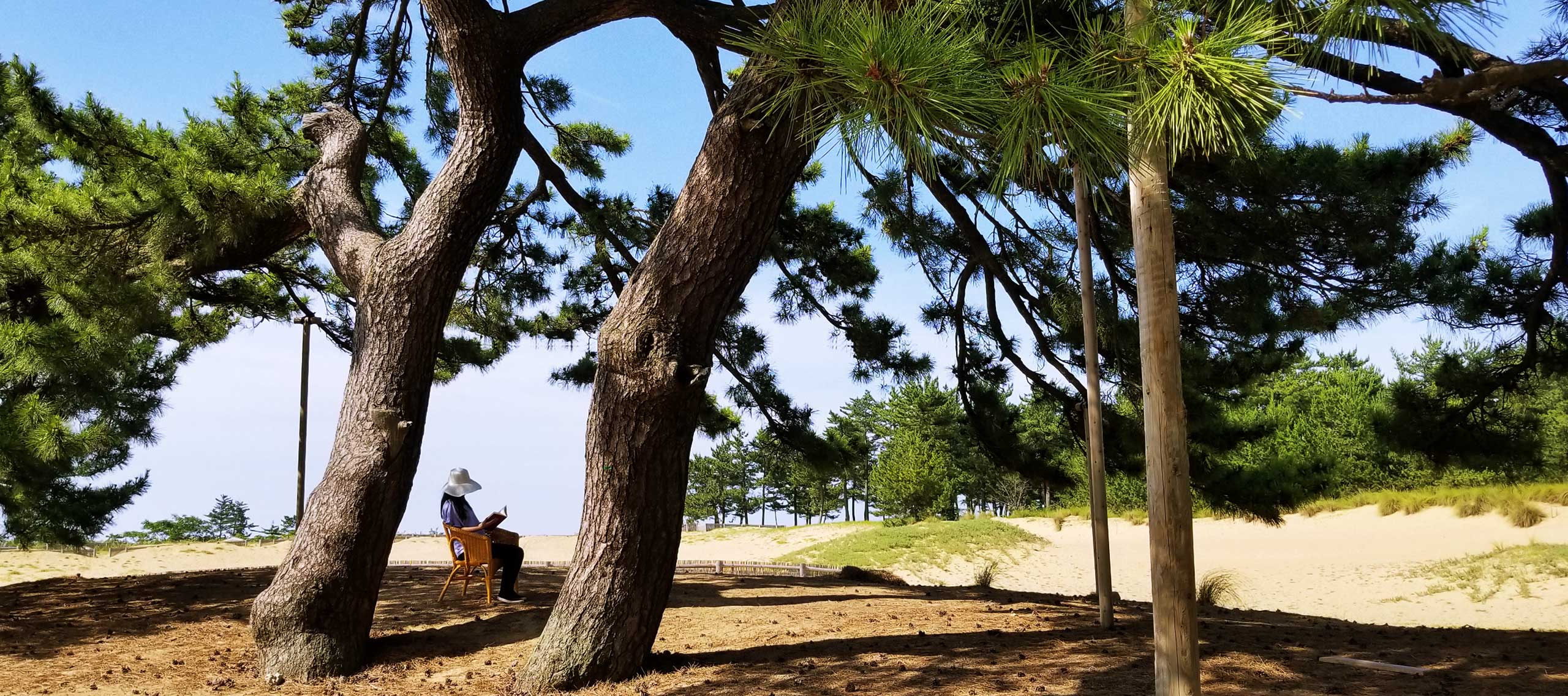 蛍光社トップイメージ画面01