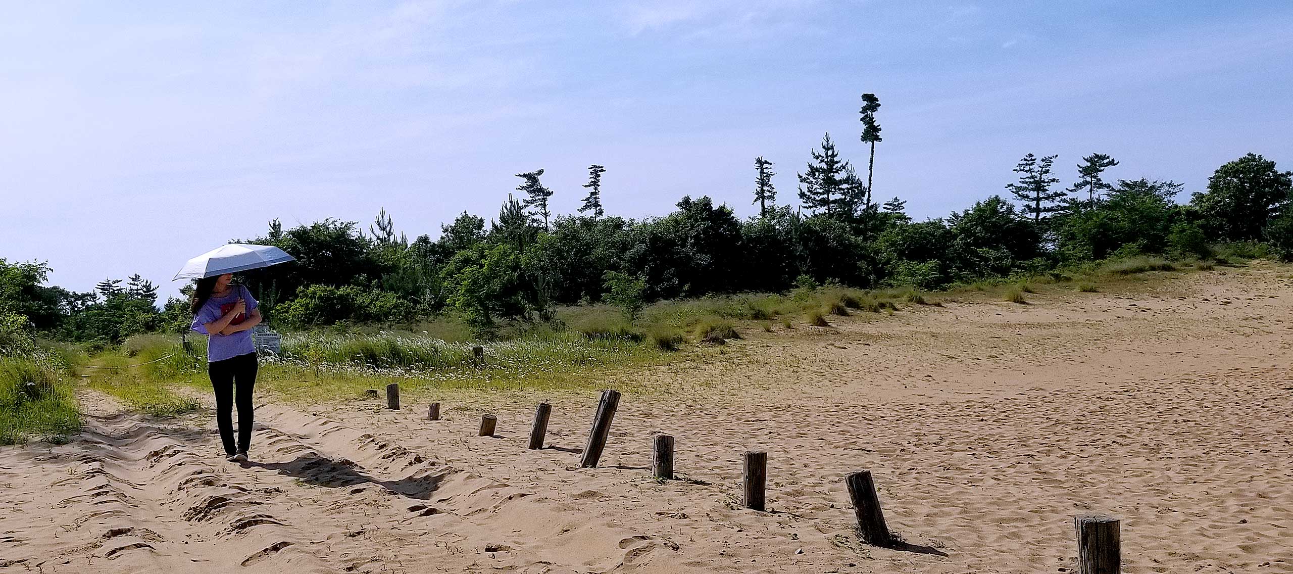 蛍光社トップイメージ画面03